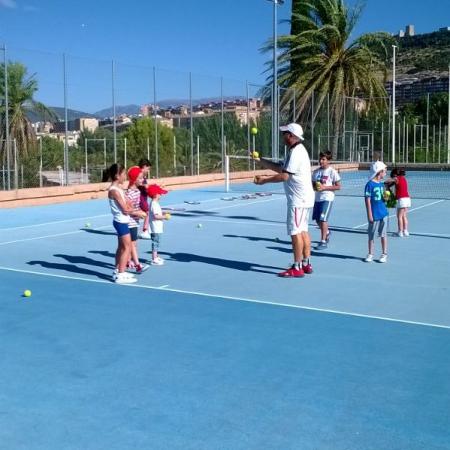 Ver imagen más grande