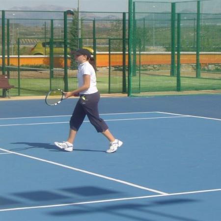 Ver imagen más grande