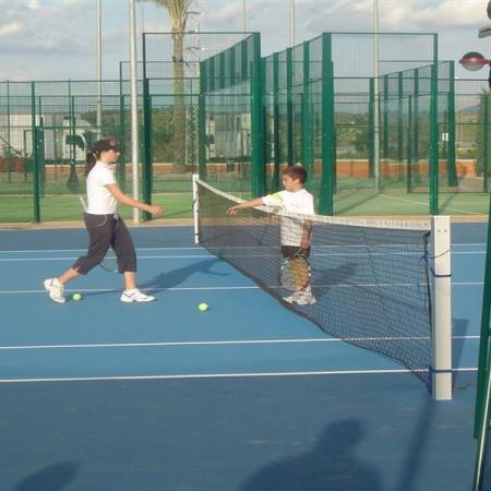 Ver imagen más grande