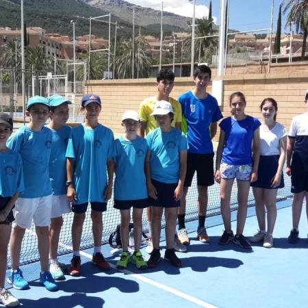 Ver imagen más grande