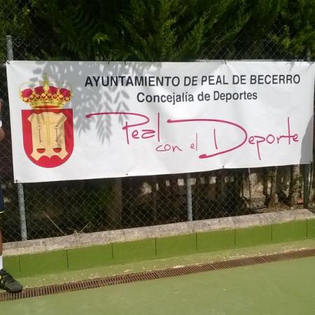 Ver imagen más grande