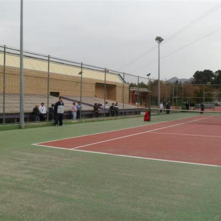 Ver imagen más grande