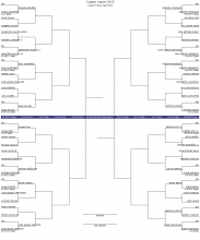 Cuadro Xauen 2015 Cuadro Xauen 2015